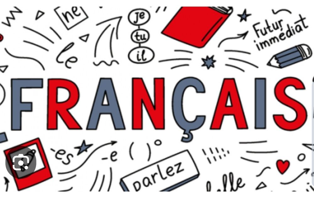 Aulas / explicações de francês e traduções