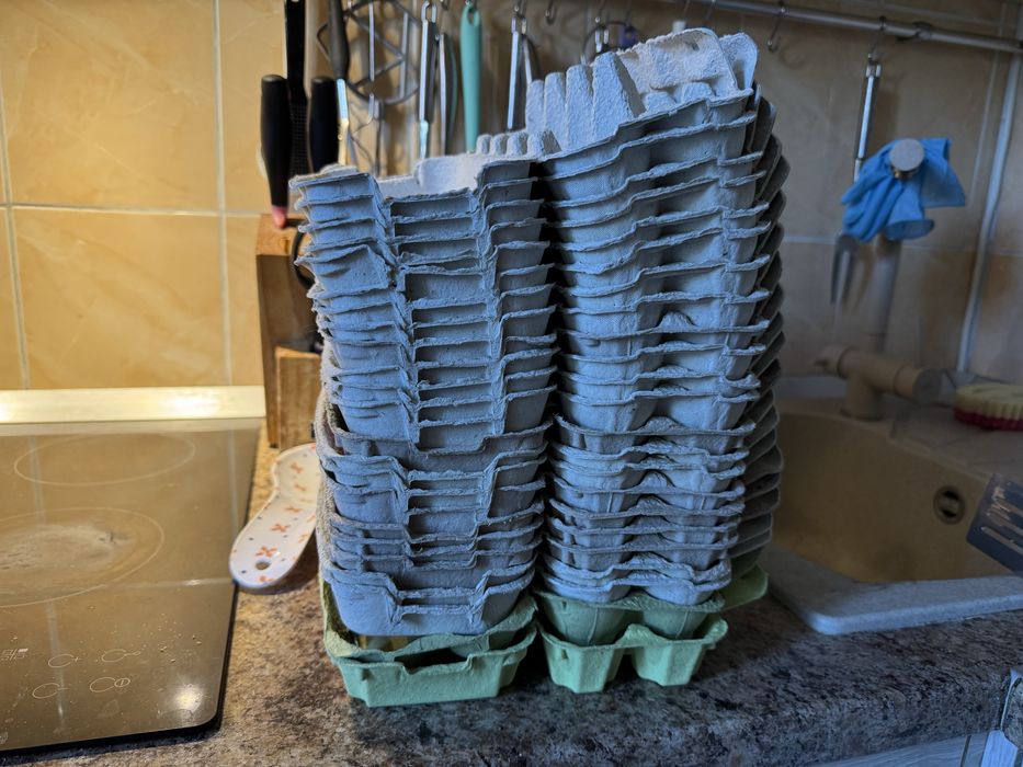 Лотки для яєць по 10 шт.