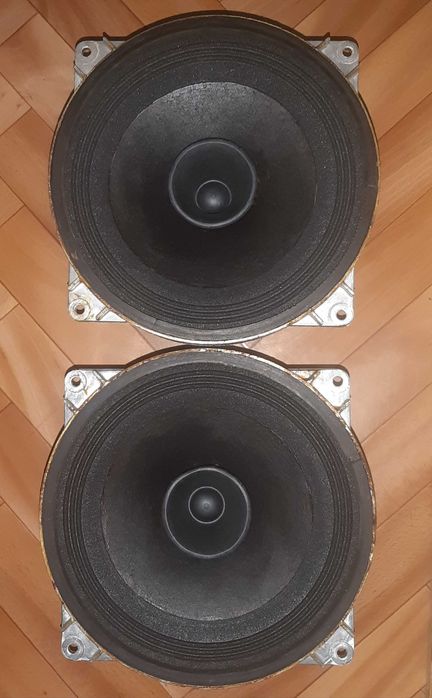 Динамики 10ГДШ-1  (после реставрации)