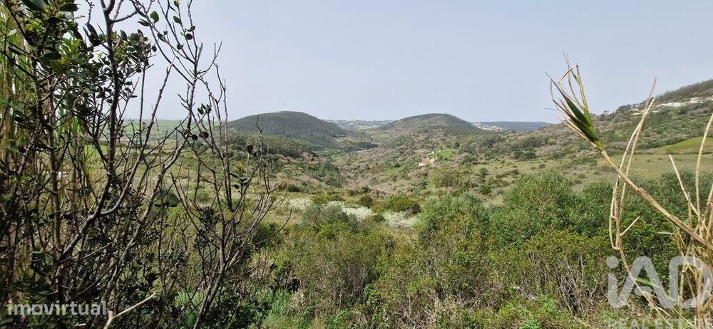 Terreno Agrícola em Mafra