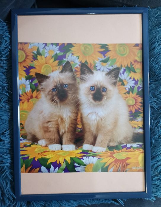 Quadro moldura tons de azul