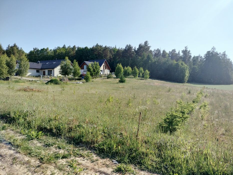 Działka 1500m. w Dzięcielcu