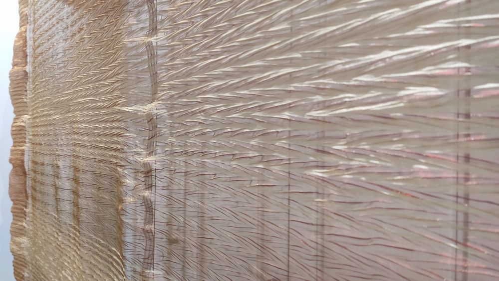 Cortina organza estore + portiers seda selvagem+varão metal