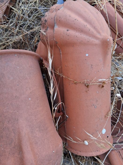 Pata Leão  cumes e outros restos novos