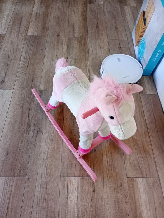 Konik bujany śpiewający