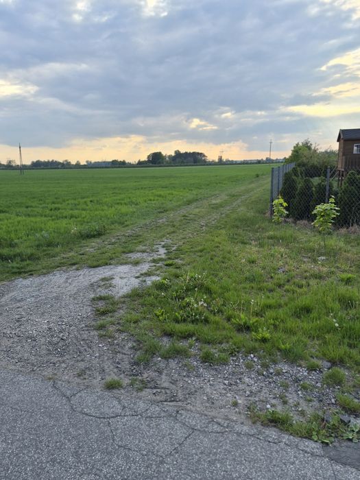 Działki budowlane z WZ, Konstantynów, gmina Rybno - Widok 3