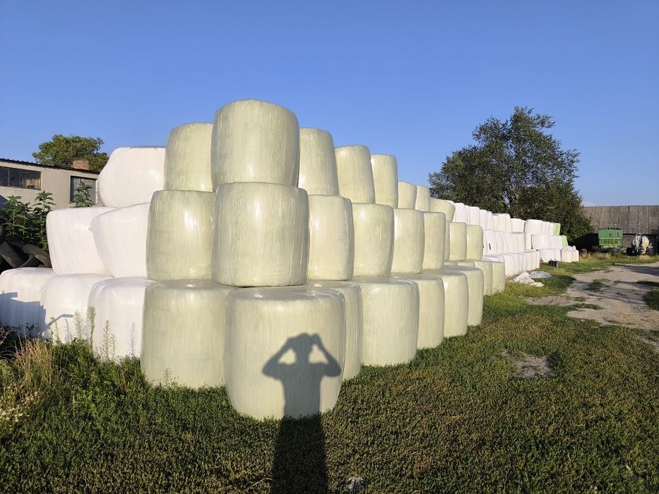 Sianokiszonka w  Belach