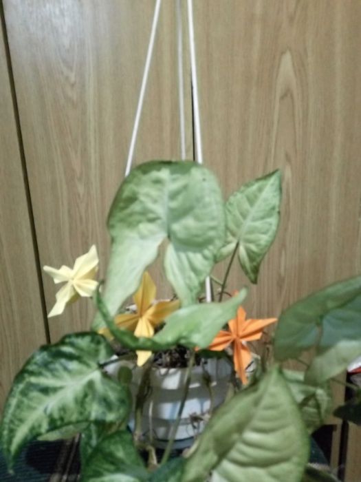 Осенний букет. Оригами.