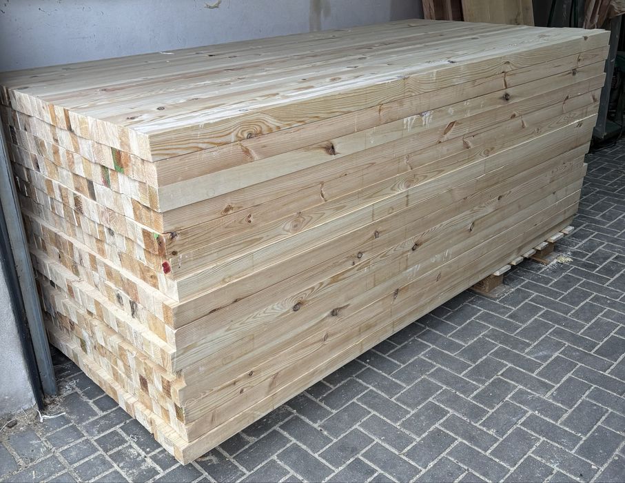 Klejonka sosnowa