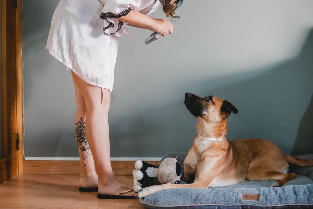 Click N Click - fotógrafo