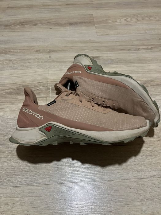 Кросівки Salomon Alpha Cross 3 Gtx Gore-Tex