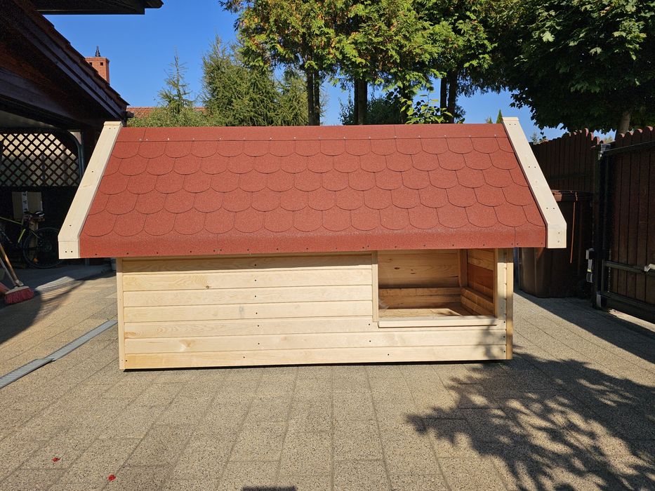 Buda /Apartament dla dużego Psa/ Psy