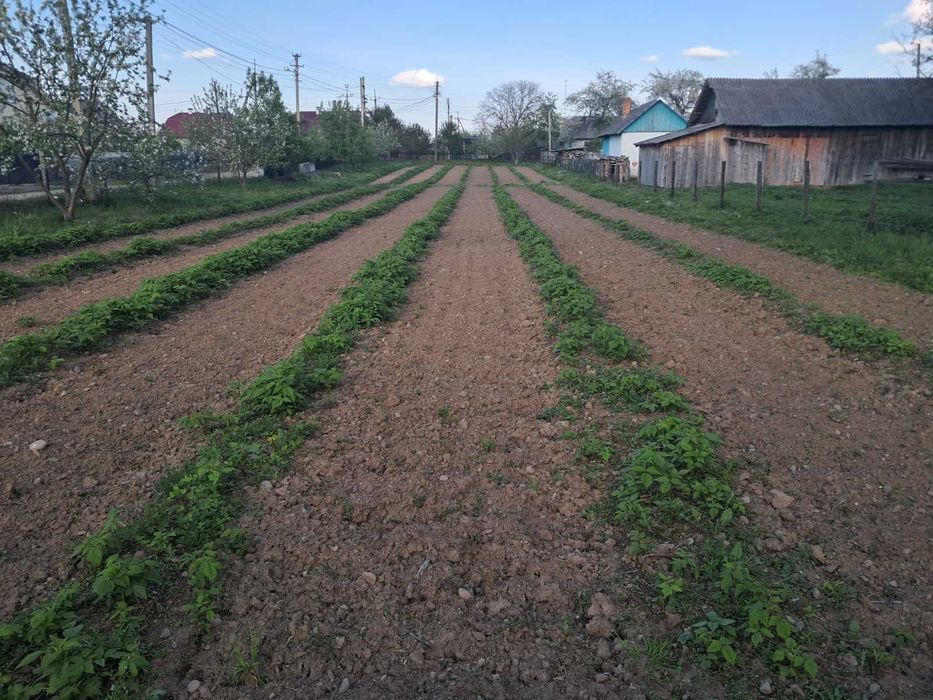 Земельна ділянка