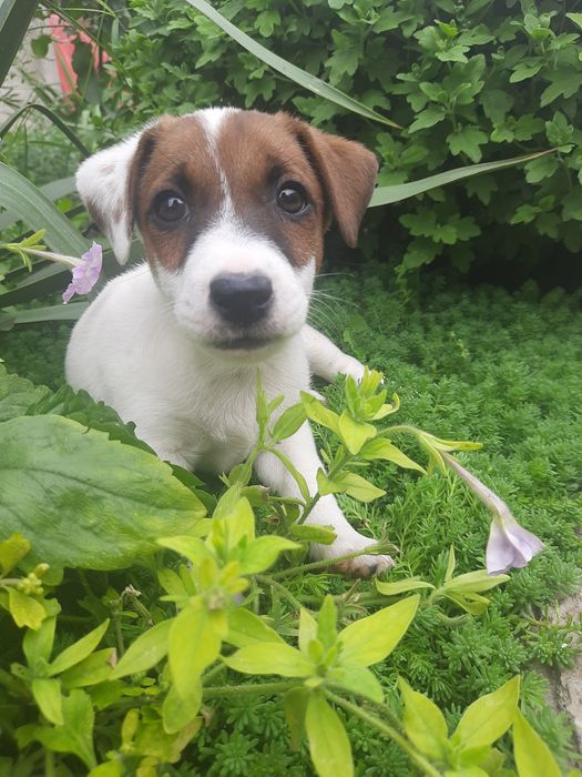 Очень красивый малыш