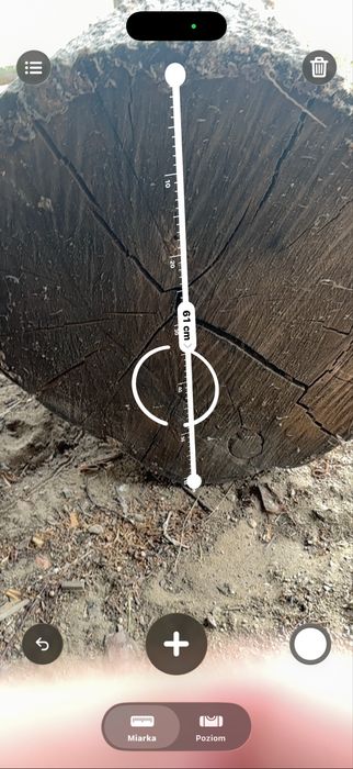 Dąb sezonowany na plastry stoliki i inne roznosci