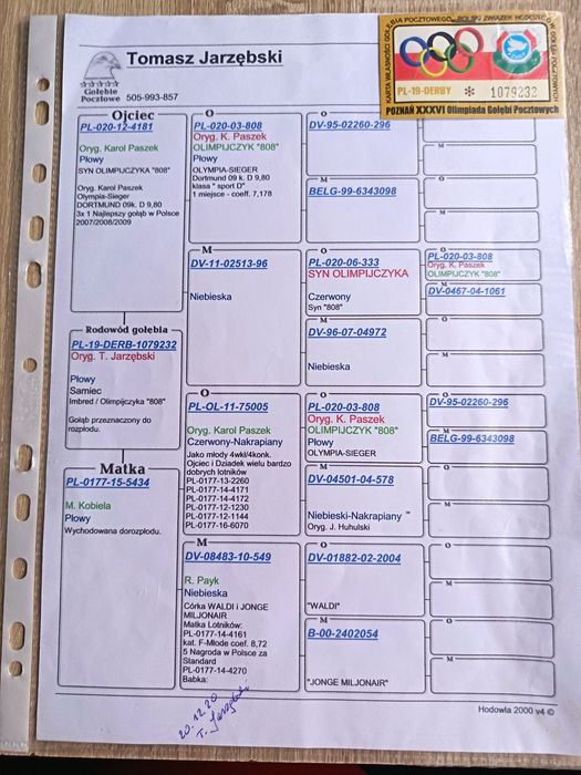 Golebie pocztowe w linii