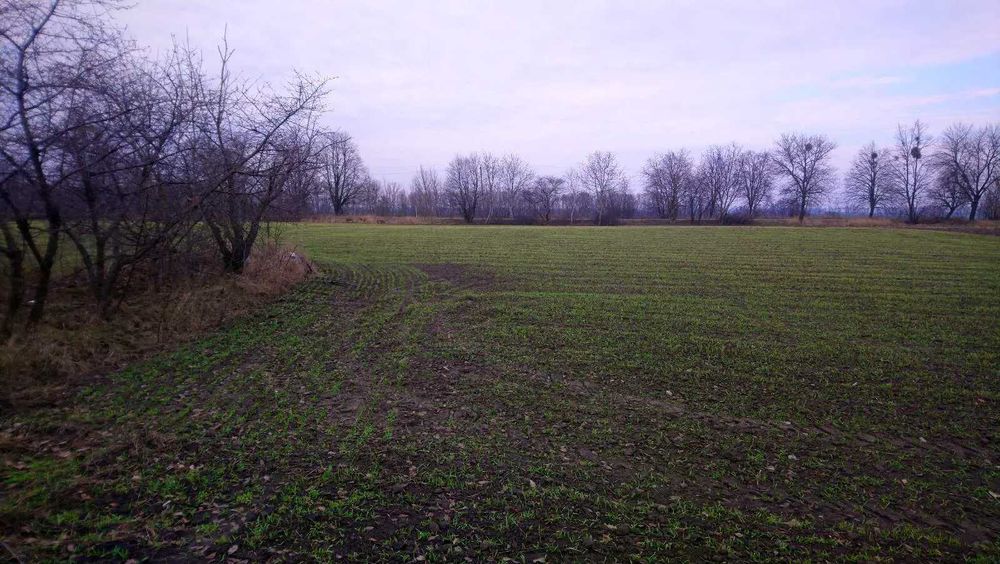 Терміново! Продається приватизована земельна ділянка (під будівництво)
