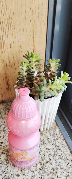 Garrafa infantil princesas — 350ml, usada em bom estado