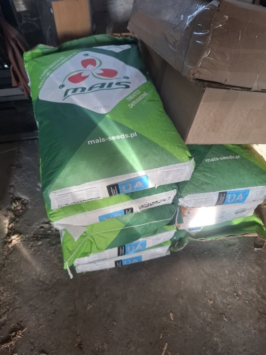 Sprzedam kukurydze odmiana Triumf