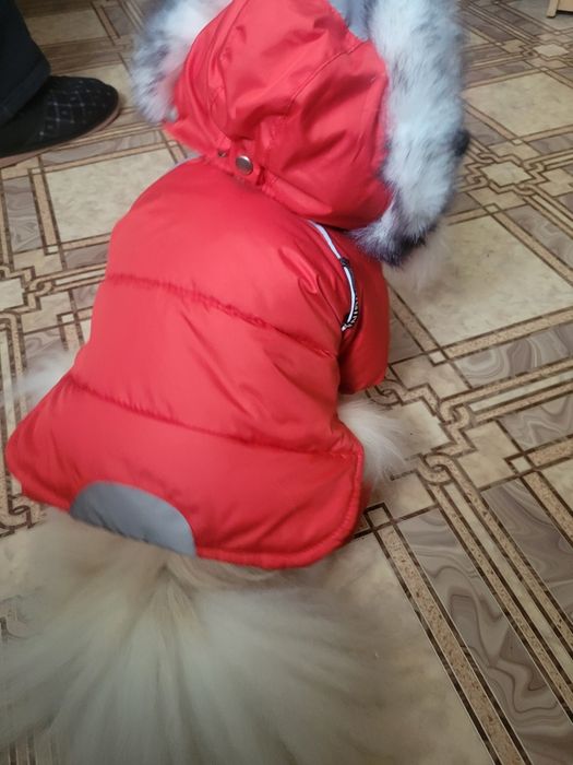 Куртка для собак