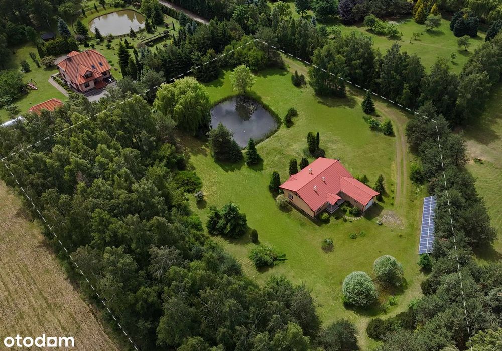Hektar zadbanej działki z domem + garażem (siedlisko z zabudową)