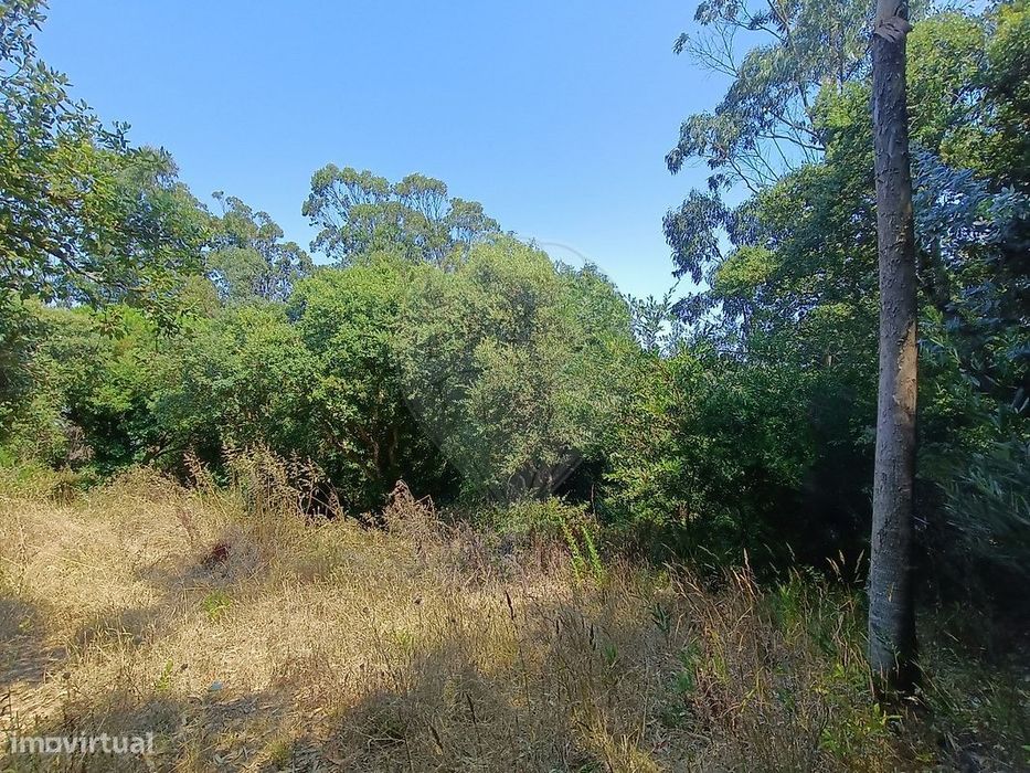 Terreno  para venda