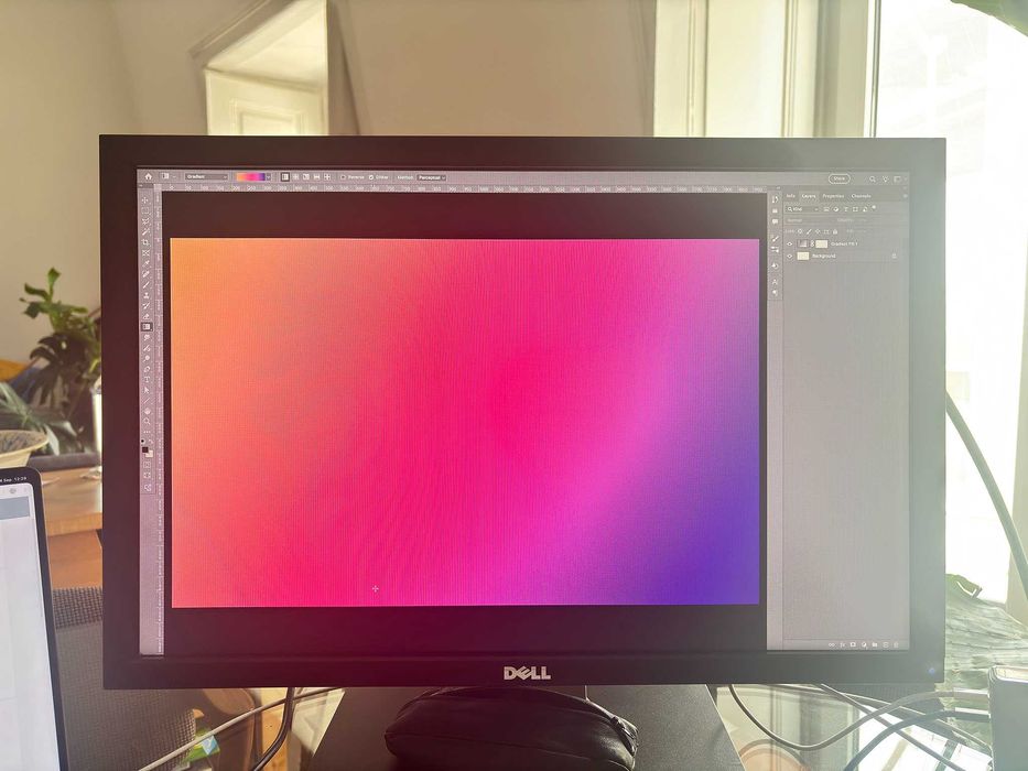 Monitor DELL U2410