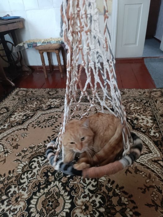 гойдалка для котика