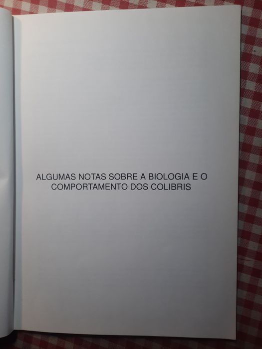 OS  COLIBRIS da coleção "Braga Junior"