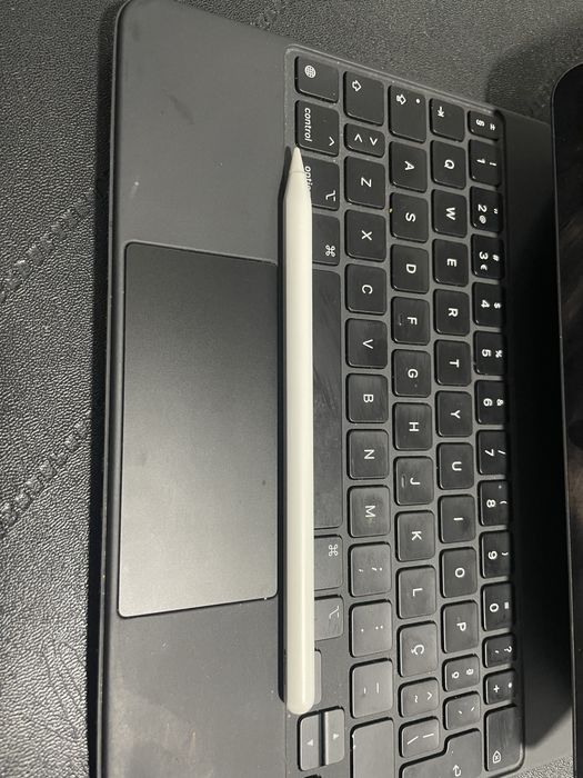 Ipad 11 Pro - 1a geração