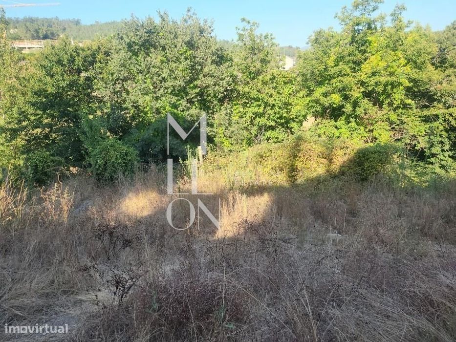 Ruína T3 Com Dois Artigos E 3.100 M² De Terreno — Padronelo, Amarante