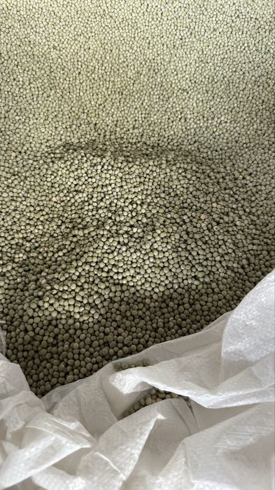 Семена Зелений горох Зекон