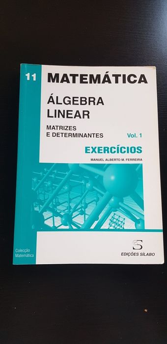 Álgebra Linear Matrizes e Determinantes