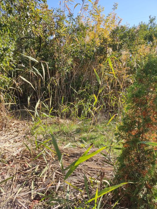 Продам дачу у СТ «Запорожец»