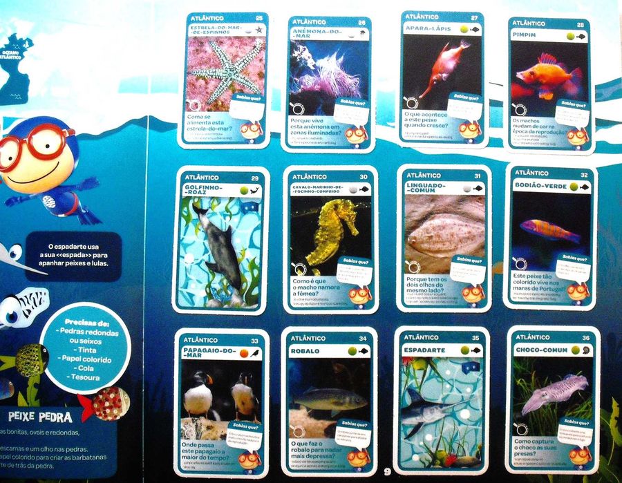 Grande Álbum do Mergulhador - Vida Marinha - Pingo doce