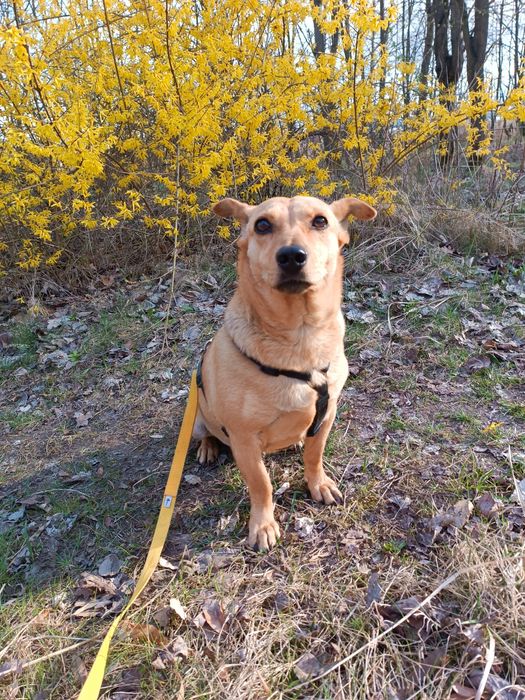 Nadia szuka kochającej rodziny