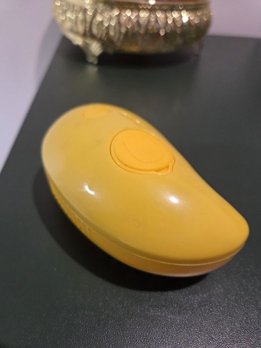 Szczotka parowa dla kota/psa