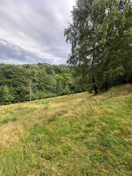 Działka budowlana Straconka ~0,65ha + pakiet/Panorama na Bielsko-Białą. NOWA CENA ( MOŻLIWA ZAMIANA ) - Widok 4