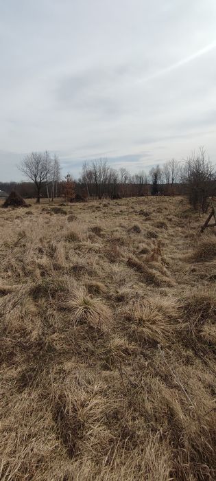 Земельна ділянка С. Раківчик Коломия