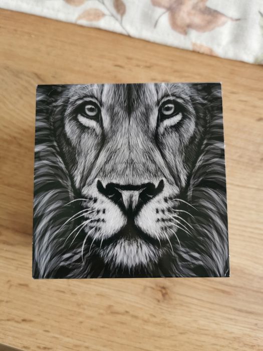 Zegarek Renegade Grover Lucleon Trendhim