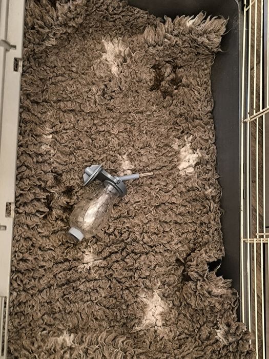 Klatka duża gratisy