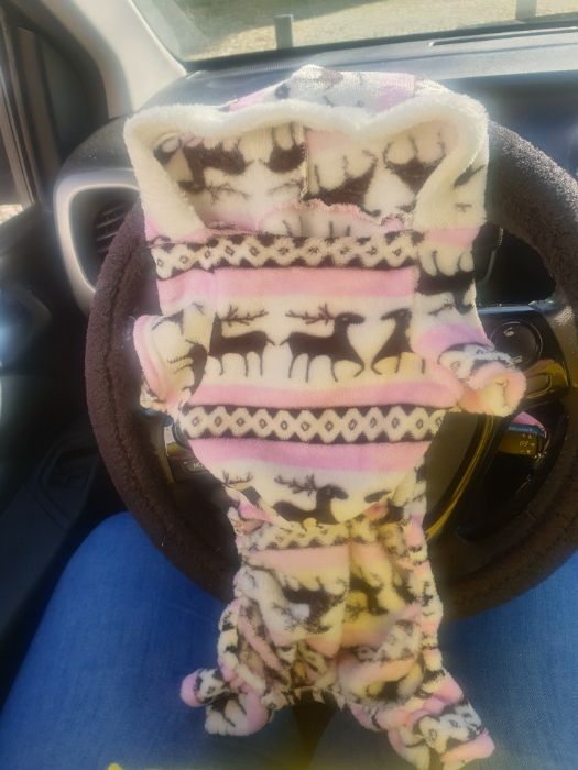 Roupa para cão pequeno