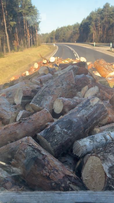 Drewno opałowe/kominkowe