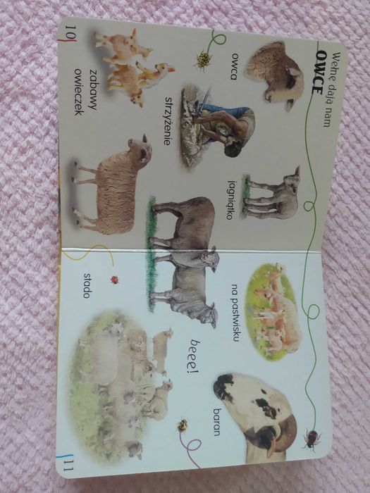 Sprzedam książkę dla dzieci "Zwierzęta żyjące blisko mnie"