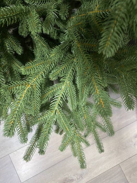 Ялинка Елка 1.6  Лита