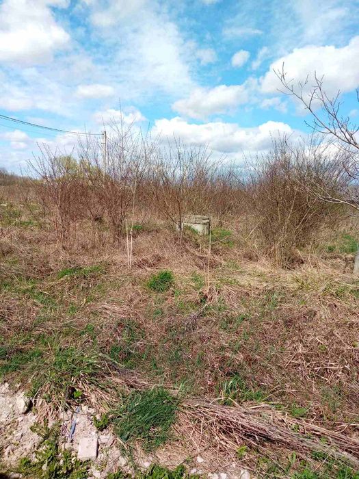 Продається земельна ділянка в с Клузів під забудову