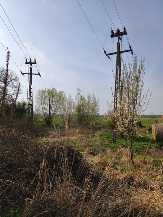 Sprzedam domek z dużą działką - Sadogóra. REZERWACJA DO SOBOTY 16/05/2026.