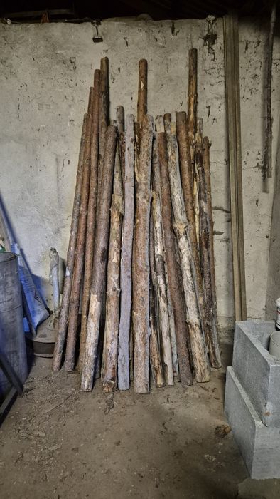 Stemple drewniane (2m-3m)  40szt