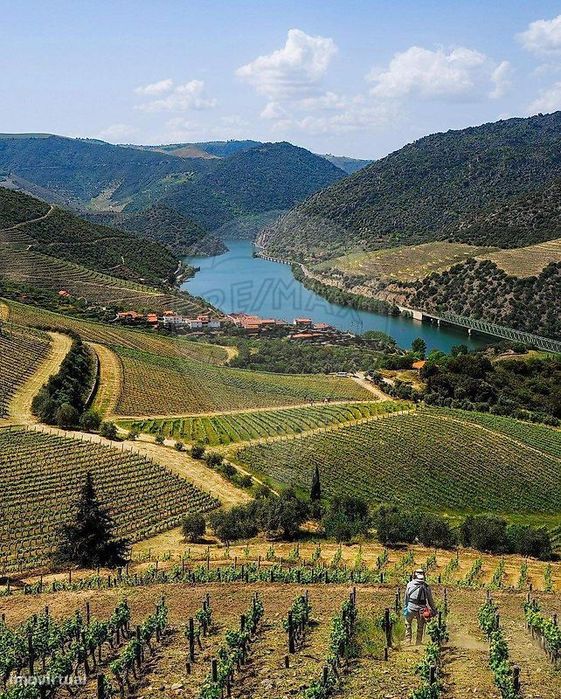 Moradia T0 para venda — Vale de Figueira, Viseu