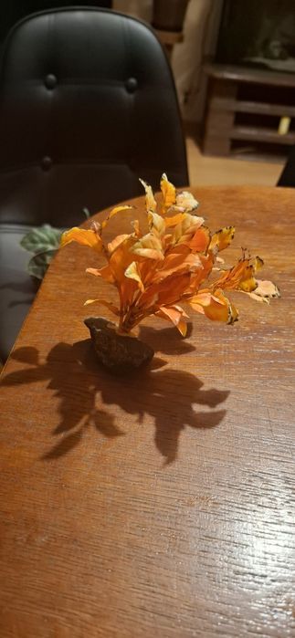 Roslinki sztuczne do akwarium